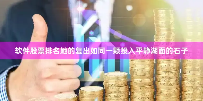 软件股票排名她的复出如同一颗投入平静湖面的石子
