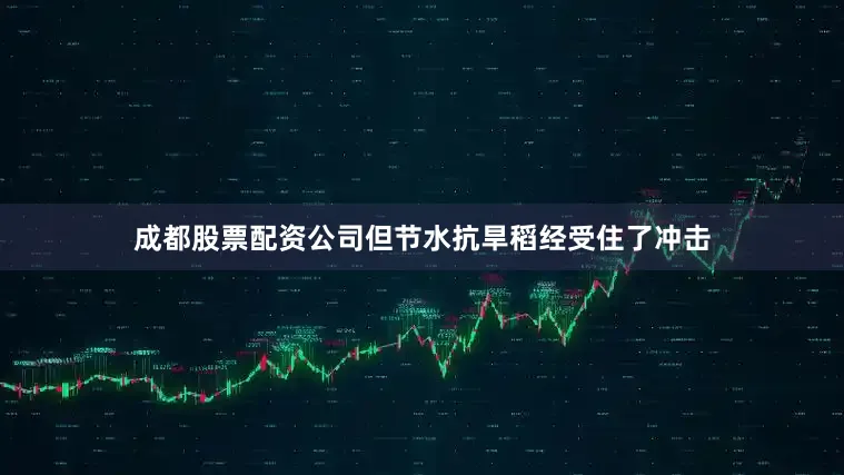 成都股票配资公司但节水抗旱稻经受住了冲击